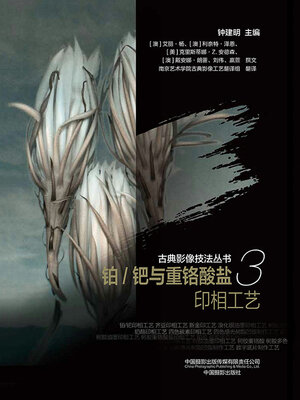 cover image of 铂/钯与重铬酸盐印相工艺